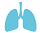 beneficiile-uleiurilor-esentiale-pentru-sistemul-respirator