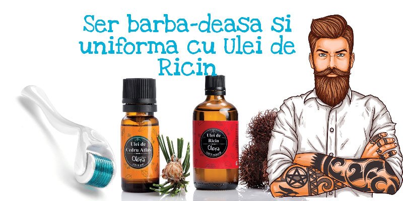 barba deasa si uniforma tratament cu Ulei de ricin