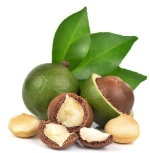 unt de macadamia natural pentru sapunuri si corp