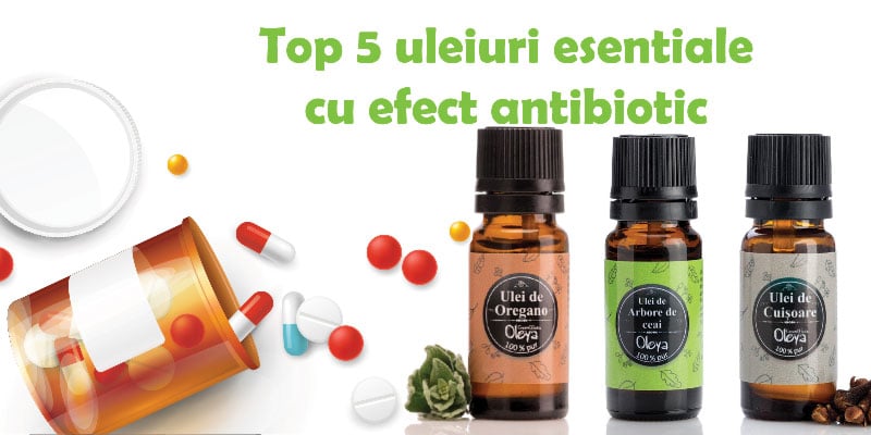 uleiuri esentiale cu efect antibiotic