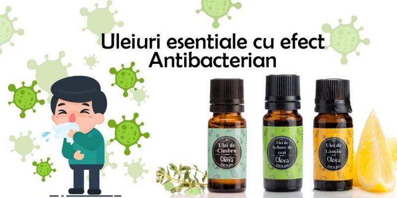 Top 5 Uleiuri esentiale cu efect Antibacterian