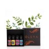 Blend Fusion- Kit pentru Aromaterapie