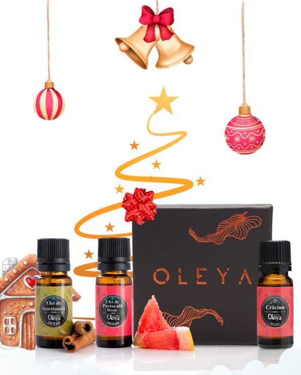 Cadouri de Craciun - Kit pentru Aromaterapie
