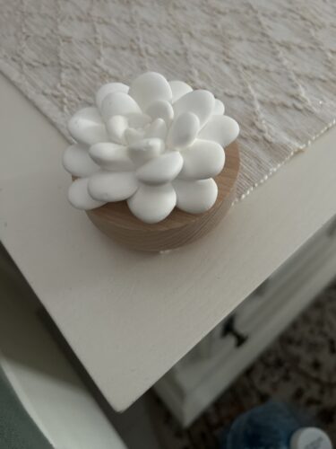 AromaStone - Difuzor pasiv pentru Uleiuri Esentiale photo review