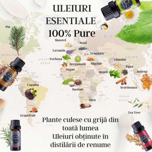 Sinergie Uleiuri Esentiale Hero - imagine 8