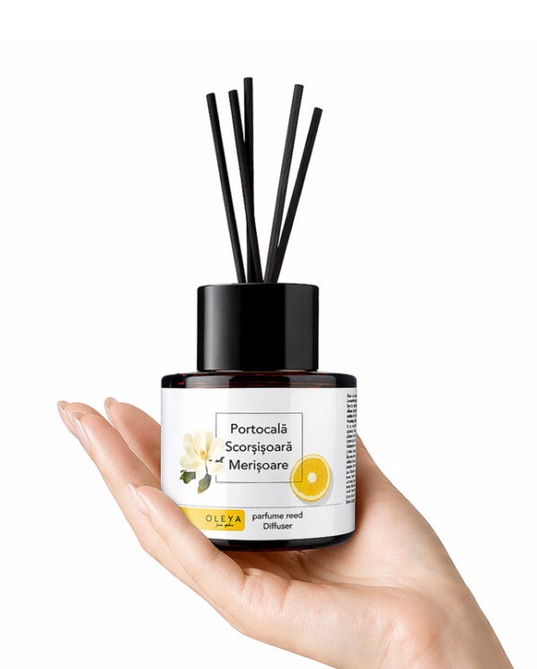 Reed  Diffuser - Parfum camera cu betisoare - Portocala Scortisoara Merisoare