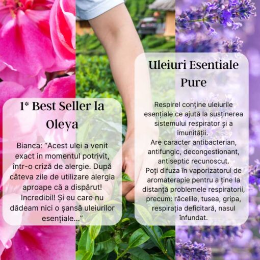 Sinergie Uleiuri Esentiale Respirel - imagine 4