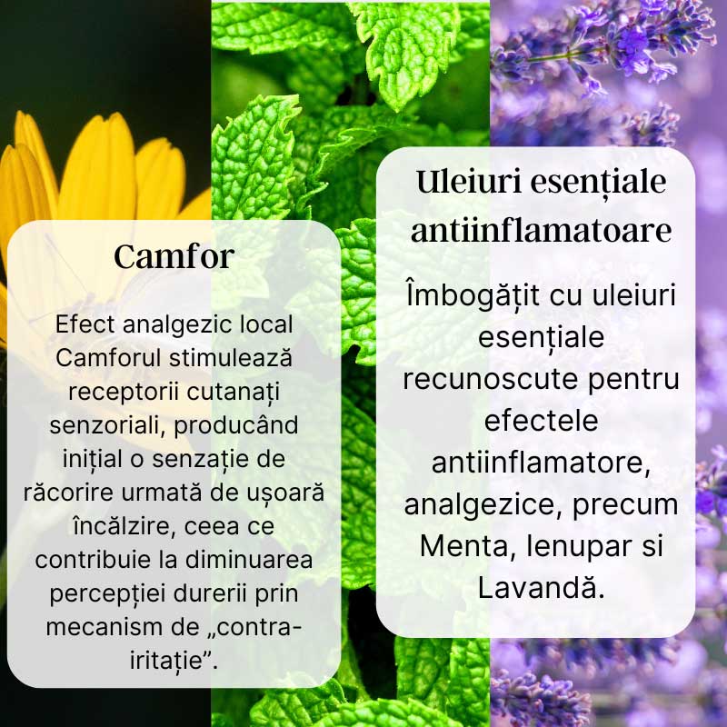 Pain Relief - Gel revigorant cu Menta, Camfor, Arnică, Mentol și Eucalipt - imagine 3