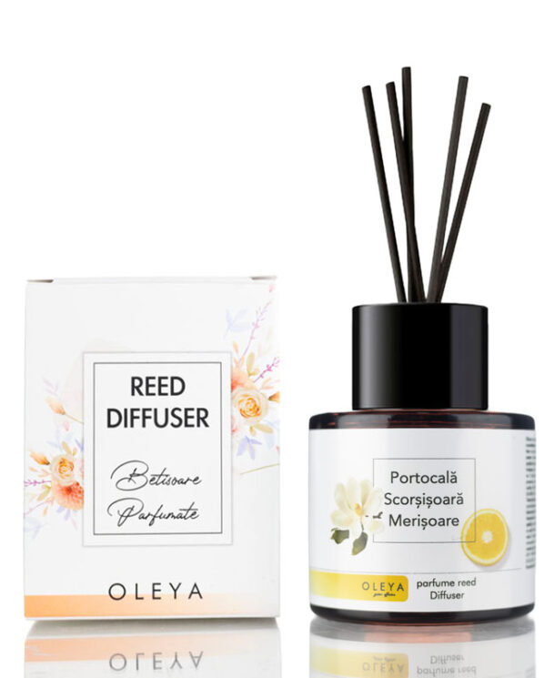 Reed  Diffuser - Parfum camera cu betisoare - Portocala Scortisoara Merisoare