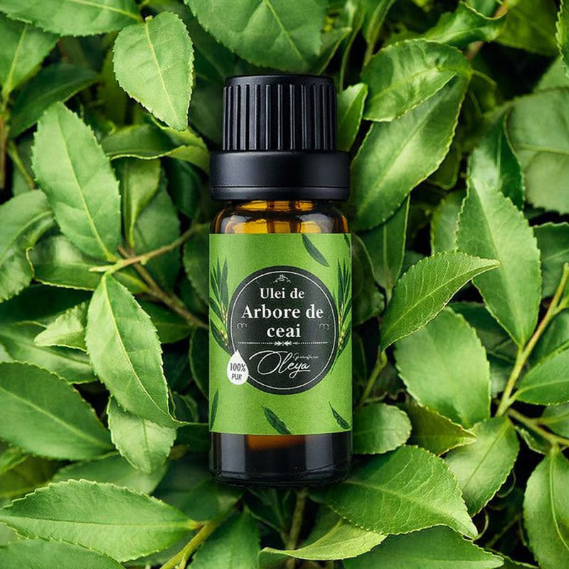 Ulei de Arbore de Ceai esențial, 100% pur - imagine 6